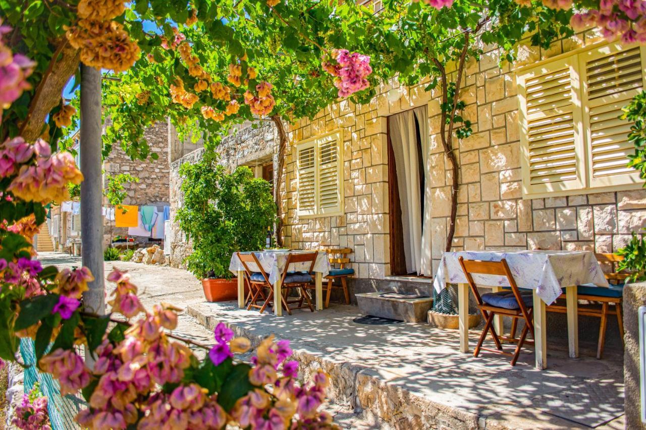 Stone House Dioniz Vila Brnistrova Exterior foto